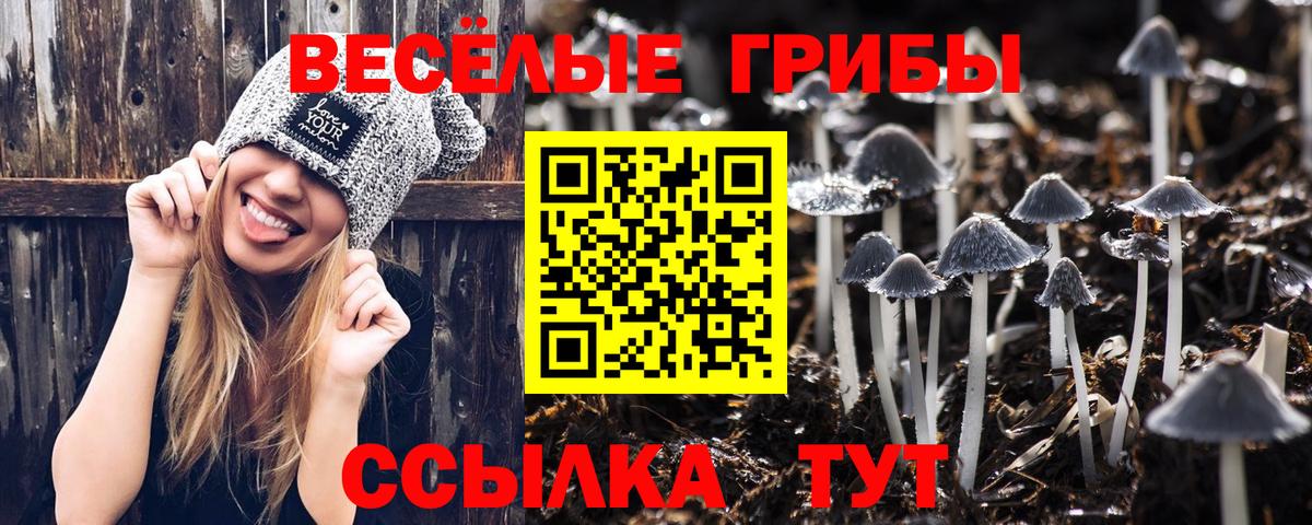 Краснокамск  Псилоцибиновые грибы ЛСД  Вход с VPN 