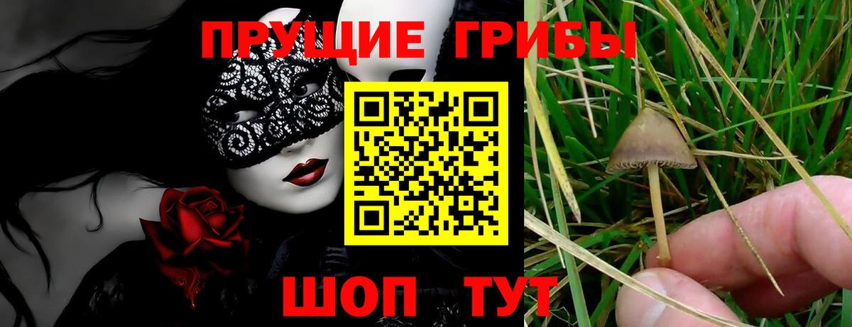 Псилоцибиновые грибы Magic Shrooms Краснокамск